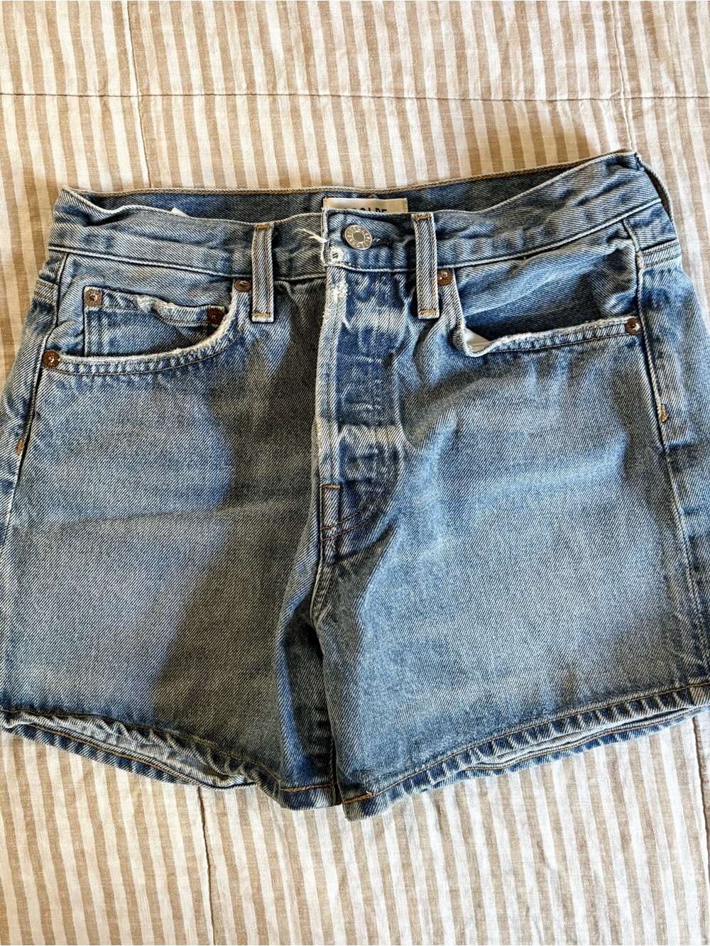 Agolde Parker Long Shorts